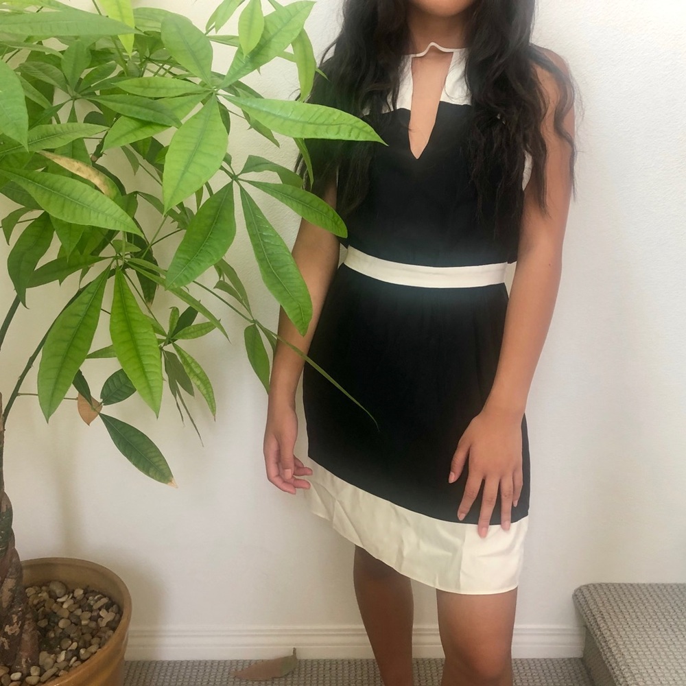 Black and White Midi Dress
